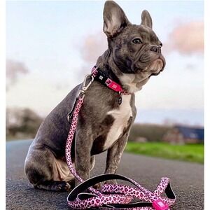 NEW Max & Molly Urban Pets‎ Pink Leopard Dog Leash Small German Design
